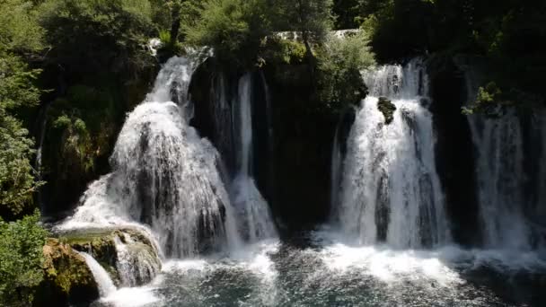 Waterfall with fresh clean water in green nature — Stock Video