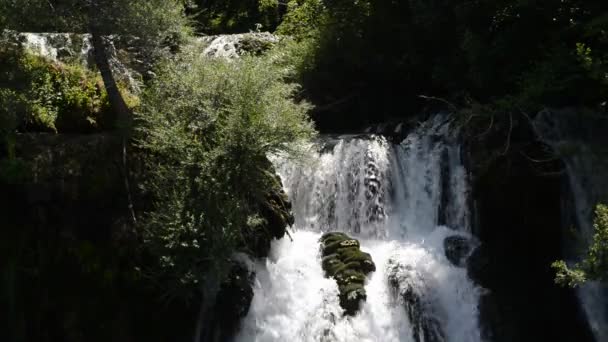 Cachoeira com água limpa fresca na natureza verde — Vídeo de Stock