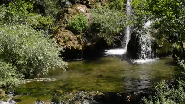 Cascata con acqua dolce e pulita nella natura verde — Video Stock