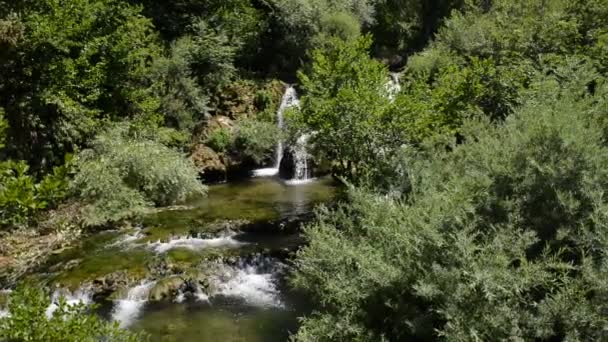緑の自然の中で新鮮なきれいな水の滝 — ストック動画