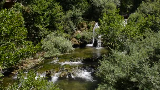 Cascata con acqua dolce e pulita nella natura verde — Video Stock