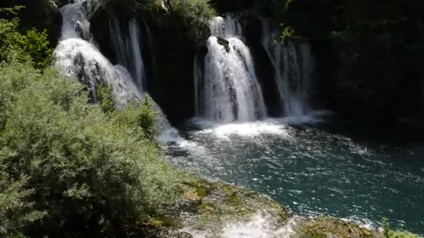 Waterfall with fresh clean water in green nature — Stock Video