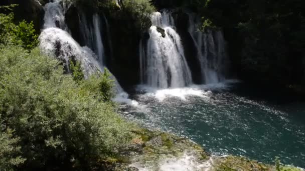 Cascada con agua dulce y limpia en la naturaleza verde — Vídeo de stock