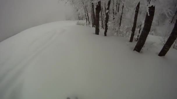 Esquí deporte hombre cuesta abajo en invierno con cámara lenta — Vídeo de stock