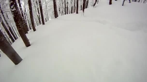 Ski sport man neråt på vintern med slow motion — Stockvideo