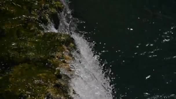 与绿色自然新鲜清洁用水瀑布 — 图库视频影像