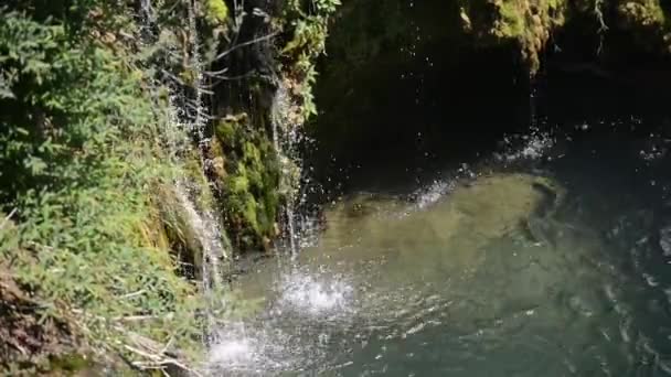 Cachoeira com água limpa fresca na natureza verde — Vídeo de Stock