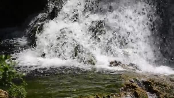 Cascade avec de l'eau fraîche et propre dans la nature verte 