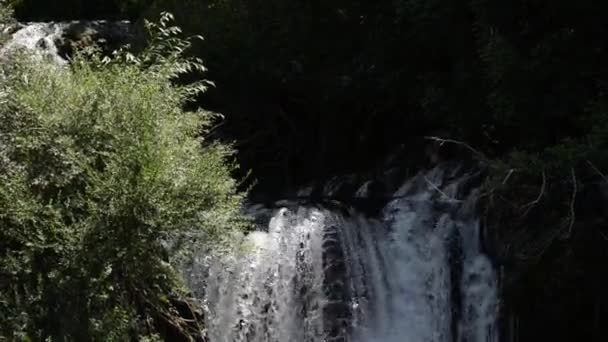 Cascada con agua dulce y limpia en la naturaleza verde — Vídeos de Stock