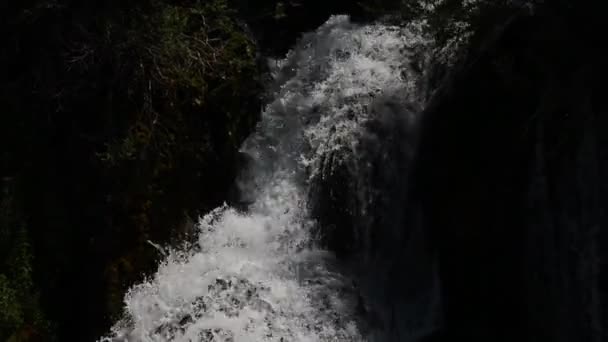 Cascada con agua dulce y limpia en la naturaleza verde — Vídeos de Stock