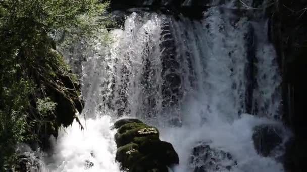 Cascada con agua dulce y limpia en la naturaleza verde — Vídeo de stock