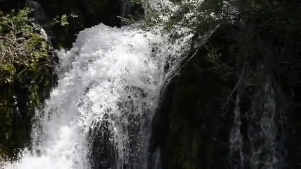 Cascade avec de l'eau fraîche et propre dans la nature verte — Video