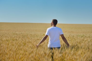 Buğday tarlasında bir adam