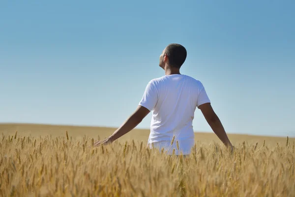 Uomo nel campo di grano — Foto Stock