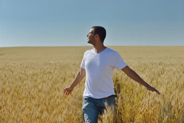 Человек на пшеничном поле — стоковое фото