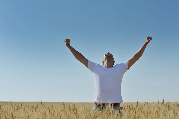 Man in tarweveld — Stockfoto