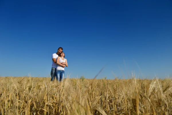 Glückliches Paar im Weizenfeld — Stockfoto