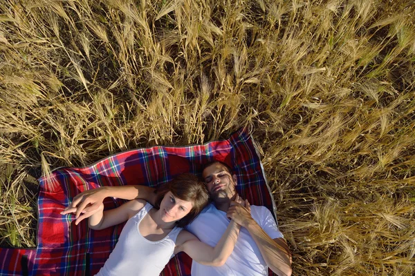 Casal feliz no campo de trigo — Fotografia de Stock