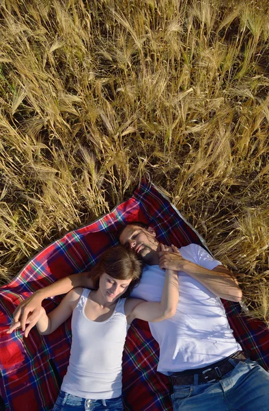 Casal feliz no campo de trigo — Fotografia de Stock