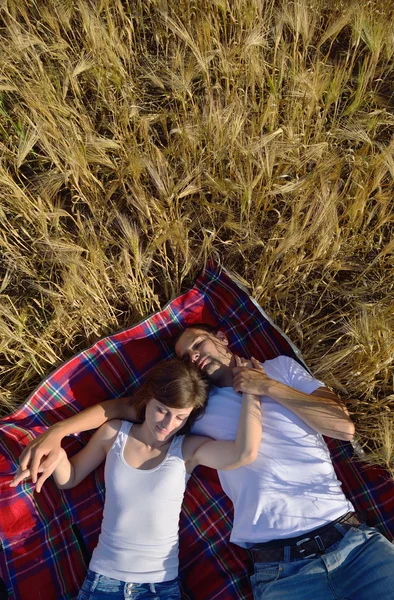 Feliz pareja en el campo de trigo — Foto de Stock