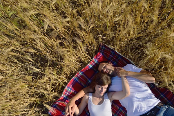 Feliz pareja en el campo de trigo — Foto de Stock