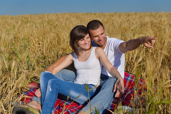 Happy couple in wheat field — Stock Photo, Image