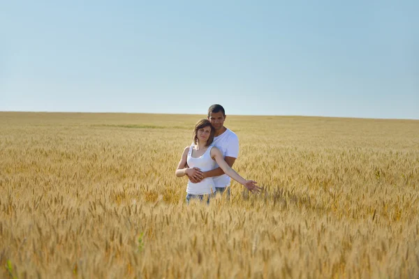 Happy couple in wheat field — Stock Photo, Image