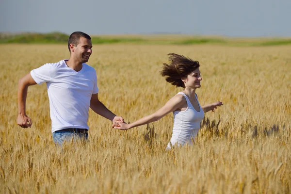 Casal feliz no campo de trigo — Fotografia de Stock