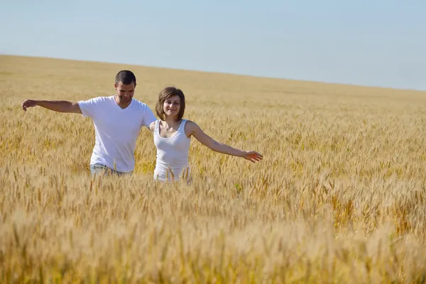 Szczęśliwa para w polu pszenicy — Zdjęcie stockowe