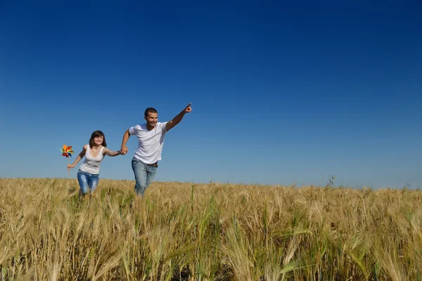 Buğday alanında mutlu çift — Stok fotoğraf