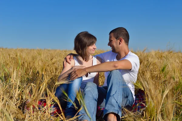 Щаслива пара в пшеничному полі — стокове фото