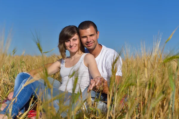 Happy couple in wheat field — Stock Photo, Image