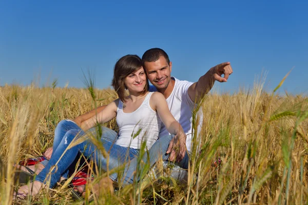 Happy couple in wheat field Royalty Free Stock Images