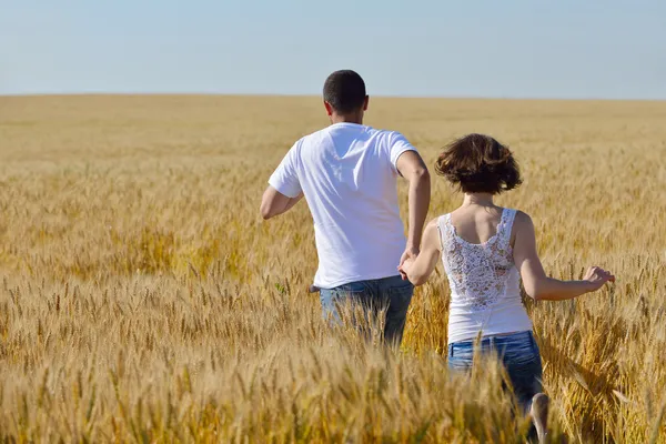 Szczęśliwa para w polu pszenicy — Zdjęcie stockowe