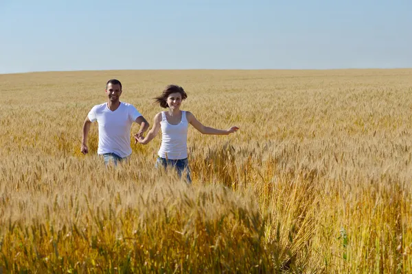 Casal feliz no campo de trigo — Fotografia de Stock