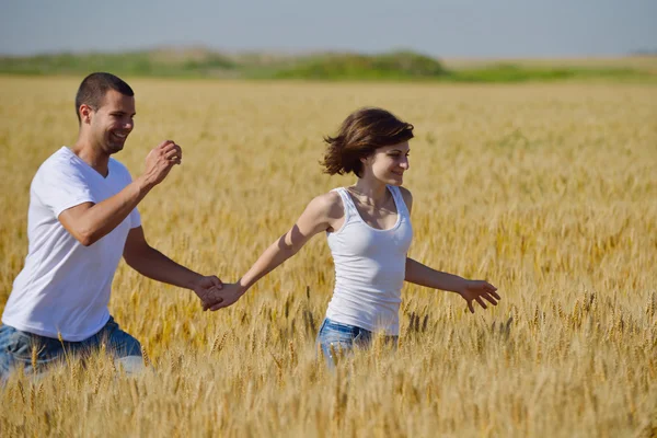 Casal feliz no campo de trigo — Fotografia de Stock