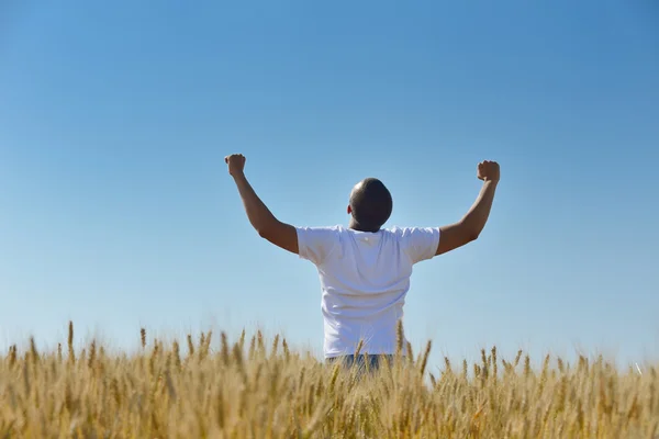 Man in tarweveld — Stockfoto