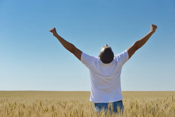 Happy couple in wheat field — Stock Photo, Image