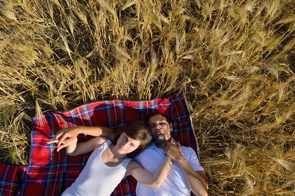 Щаслива пара в пшеничному полі — стокове фото