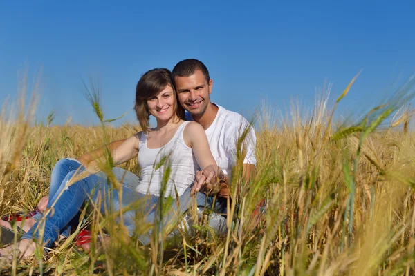 Happy couple in wheat field — Stock Photo, Image