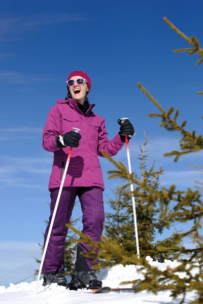 Winter vrouw ski — Stockfoto