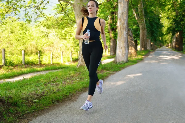 Jonge mooie vrouw joggen in de ochtend in het park Stockfoto