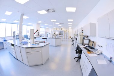 Laboratuvarda çalışan bilim adamları