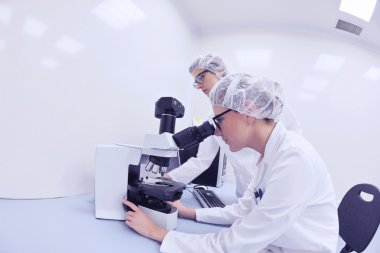 Laboratuvarda çalışan bilim adamları