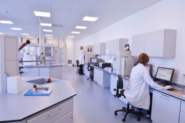 Laboratuvarda çalışan bilim adamları