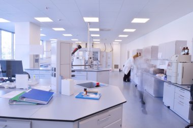 Laboratuvarda çalışan bilim adamları