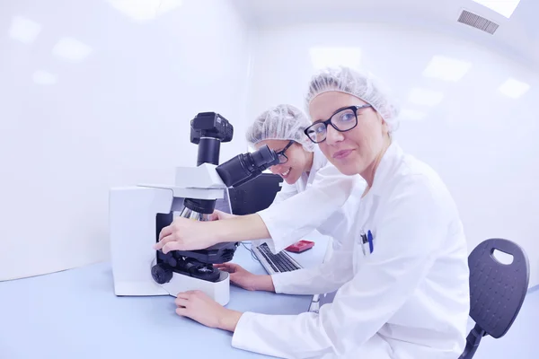 Scientists working at the laboratory — Stock Photo, Image