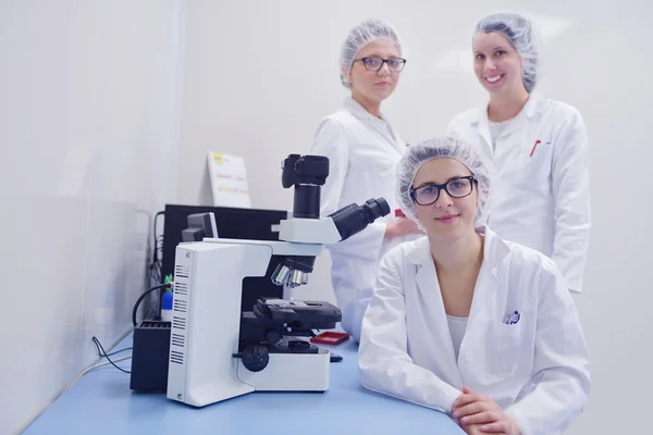 Scientists working at the laboratory — Stock Photo, Image