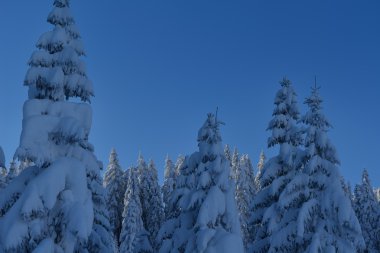 Dağı kış manzarası