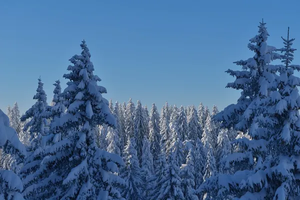 Горный зимний пейзаж — стоковое фото